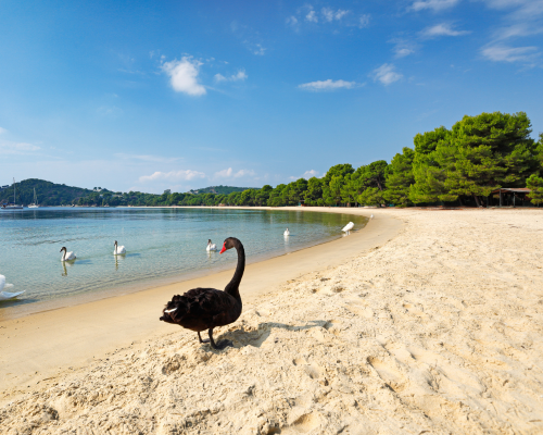 Travel in Koukounourgies Skiathos