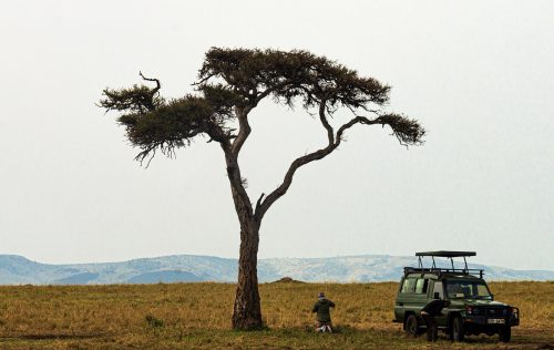 kenya